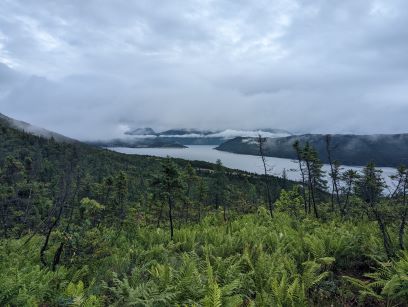 Foggy view from Lookout trail, Woody Point Newfoundland